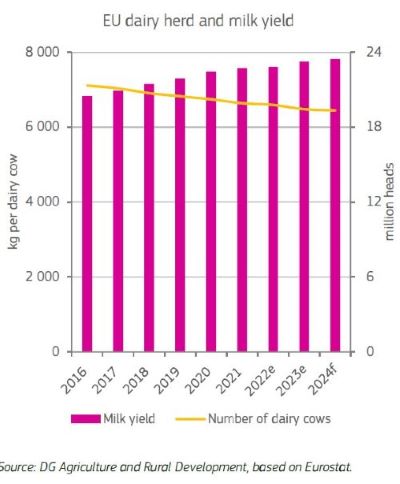 EU milk yields 2024  